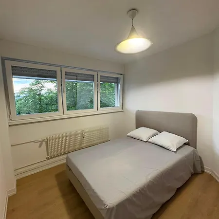 Bes - 40 M2, Centre-ville, Renove * Mulhouse