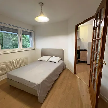 Bes - 40 M2, Centre-ville, Renove Daire