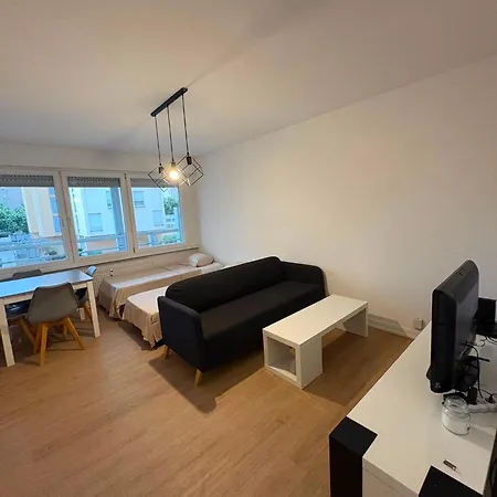 Bes - 40 M2, Centre-ville, Renove Daire Mulhouse